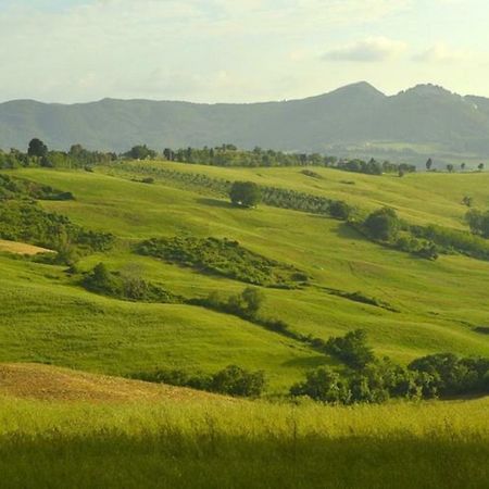 Farmhouse Tuscany Montecastelli Pisano Dış mekan fotoğraf