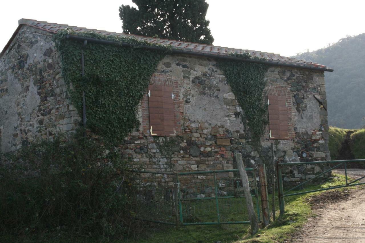 Farmhouse Tuscany Montecastelli Pisano Dış mekan fotoğraf