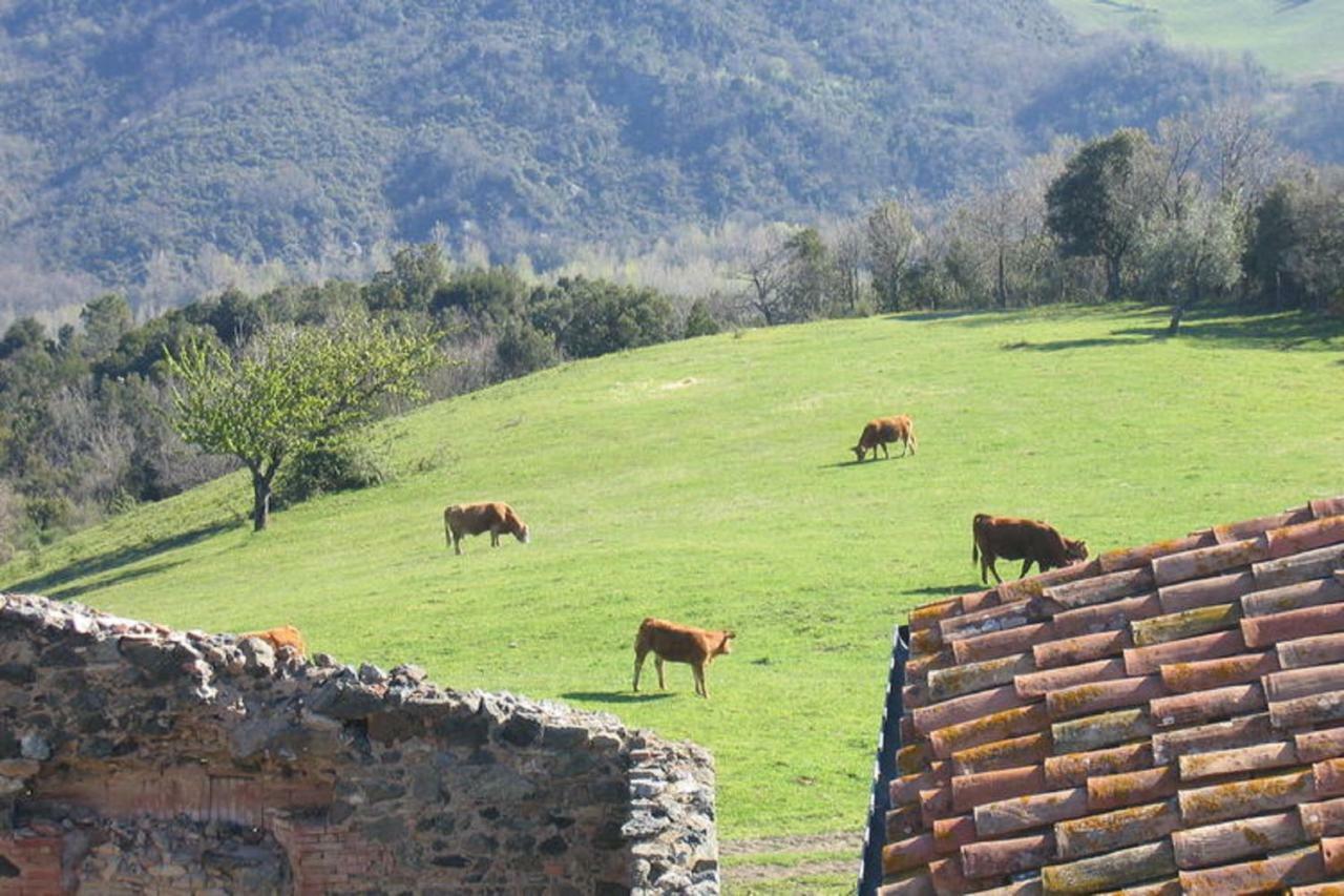 Farmhouse Tuscany Montecastelli Pisano Dış mekan fotoğraf